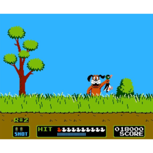 duck hunt gameplay